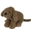 Glückliches Pferd Labradoodle Larry