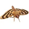 Hansa Creation beige Motte