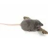Hansa knuffels Ratte Stofftier Hansa