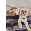 OYOY Hundespielzeug Otto Rope