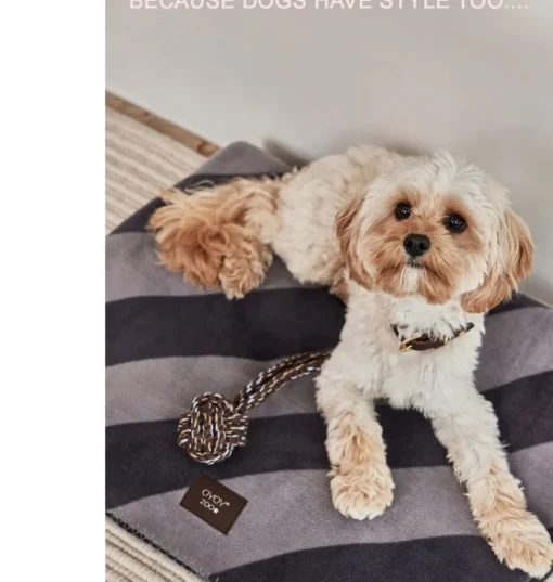 OYOY Hundespielzeug Otto Rope